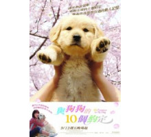 10 обещаний моей собаке (2008)