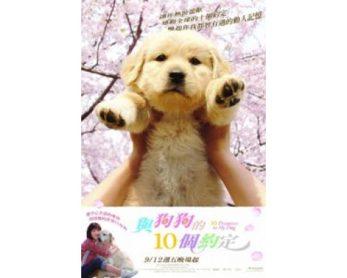 10 обещаний моей собаке  (фильм 2008) смотреть онлайн