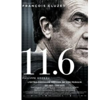 11.6 (2013)