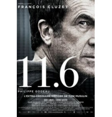 11.6 (2013)