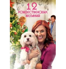 12 Рождественских желаний (2011)