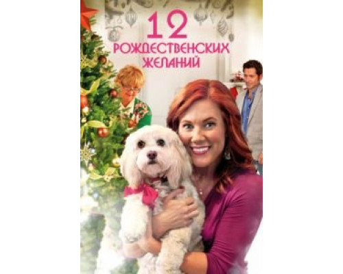 12 Рождественских желаний  (фильм 2011) смотреть онлайн