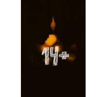 14+ (2015)