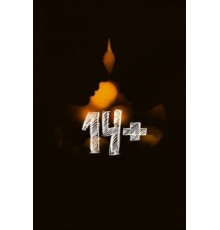 14+ (2015)