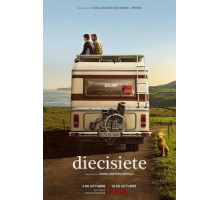 17-летний (2019)