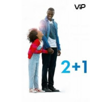 2+1 (2016)