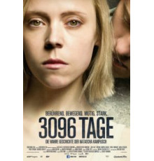 3096 дней (2013)