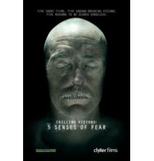 5 чувств страха (2013)
