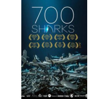 700 акул (2019)