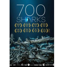 700 акул (2019)