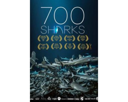 700 акул  (фильм 2019) смотреть онлайн