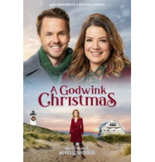 A Godwink Christmas (2018)