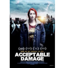 Acceptable Damage (2019)