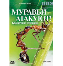 BBC: Муравьи атакуют (2006)