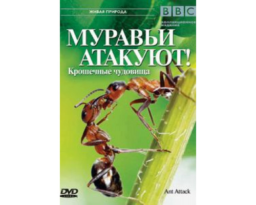 BBC: Муравьи атакуют  (фильм 2006) смотреть онлайн