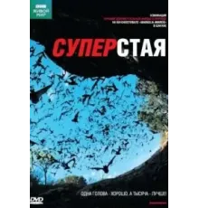 BBC: Суперстая (2009)