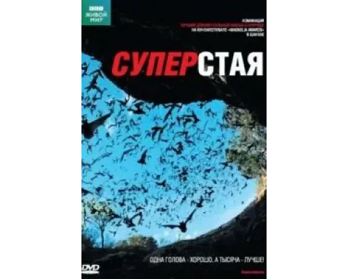 BBC: Суперстая  (фильм 2009) смотреть онлайн