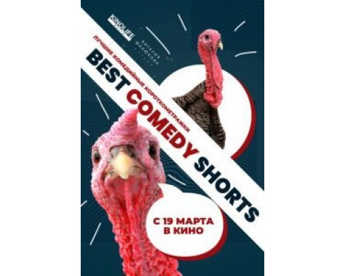 Best Comedy Shorts  (фильм 2020) смотреть онлайн