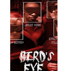 Bird's Eye (2019)