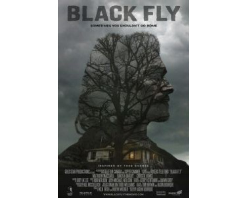 Black Fly  (фильм 2014) смотреть онлайн