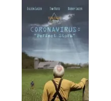Coronavirus: Perfect Storm (2020)