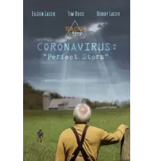Coronavirus: Perfect Storm (2020)