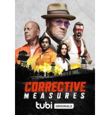 Corrective Measures (2022)