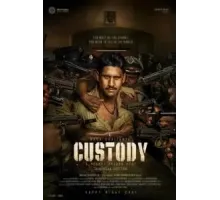 Custody (2023)