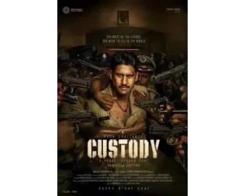 Custody  (фильм 2023) смотреть онлайн