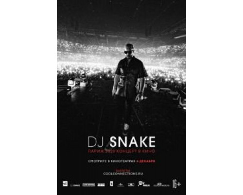 DJ SNAKE: Париж 2020. Концерт в кино  (фильм 2020) смотреть онлайн