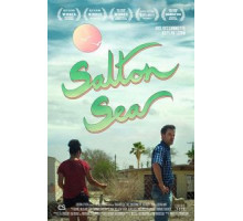 Desert Shores (2018)