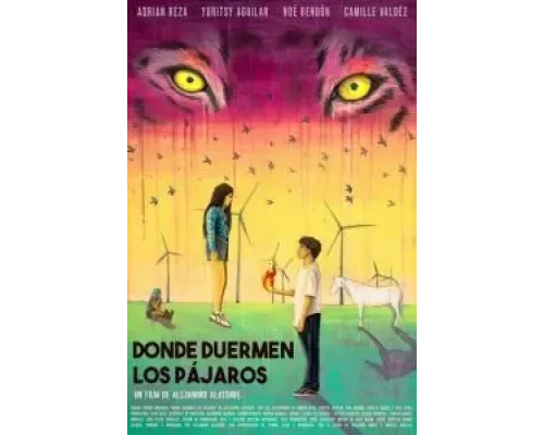 Donde duermen los pájaros  (фильм 2022) смотреть онлайн