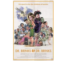 Dr. Brinks & Dr. Brinks (2017)