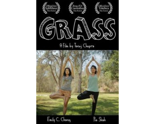 Grass  (фильм 2017) смотреть онлайн