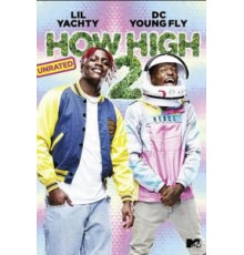 How High 2 (2019)