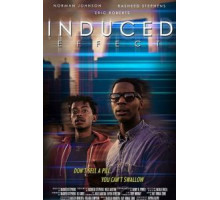 Induced Effect (2017)