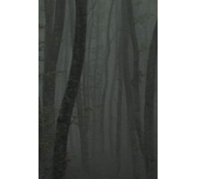 Katafigio II: The Ice Path (2018)