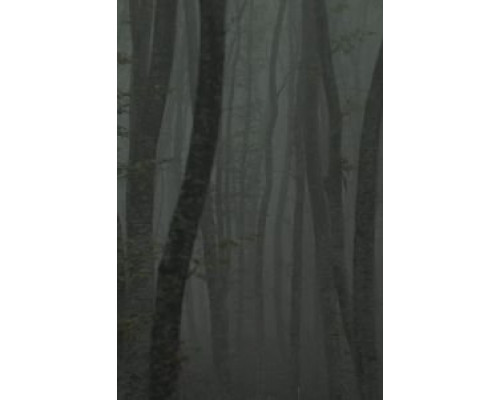 Katafigio II: The Ice Path  (фильм 2018) смотреть онлайн