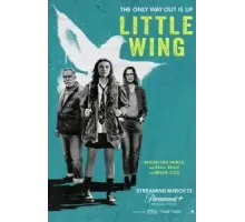 Little Wing (2024)