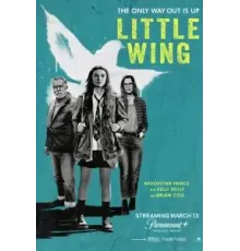 Little Wing (2024)