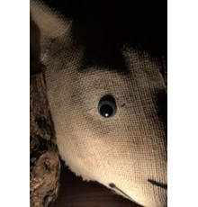 Maria's Tale (2018)