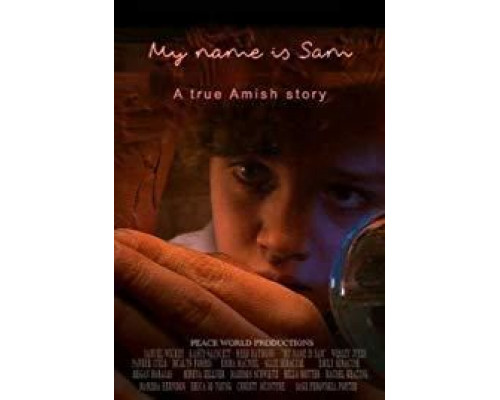 My Name Is Sam  (фильм 2020) смотреть онлайн