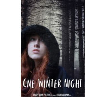 One Winter Night (2019)