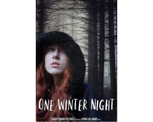 One Winter Night  (фильм 2019) смотреть онлайн