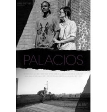 Palacios (2017)