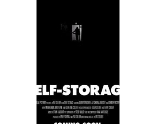 Self-Storage  (фильм 2019) смотреть онлайн