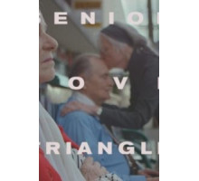 Senior Love Triangle (2019)