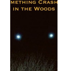 Something Crashed in the Woods (2019)
