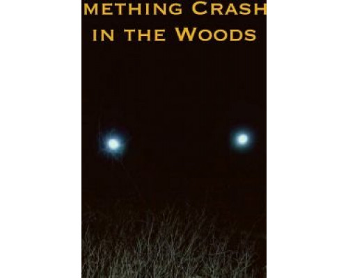 Something Crashed in the Woods  (фильм 2019) смотреть онлайн