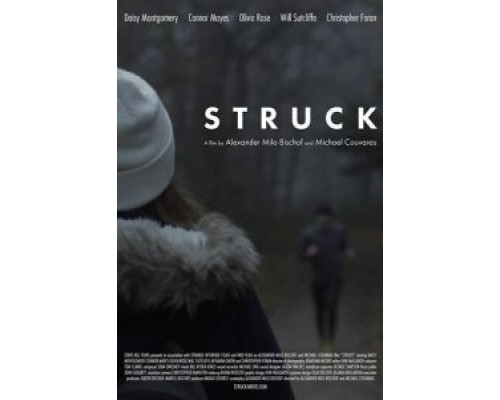 Struck  (фильм 2017) смотреть онлайн